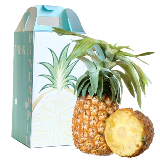 【送料無料】もぎたて産地直送!沖縄県西表島産パイナップル パイナップル界のキング ゴールドバレル(ハウス栽培)