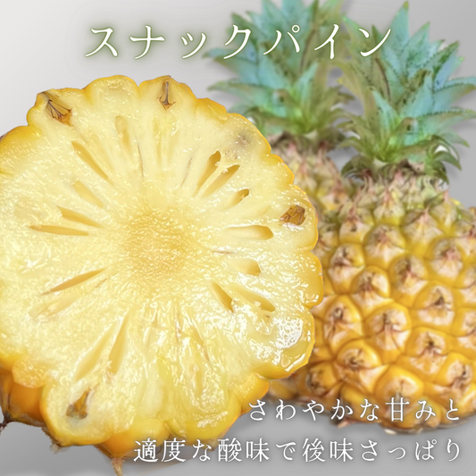 【送料無料】もぎたて産地直送!沖縄県西表島産パイナップル ちぎって食べる スナックパイン