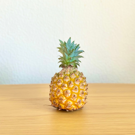 【送料無料】もぎたて産地直送!沖縄県西表島産パイナップル ちぎって食べる スナックパイン