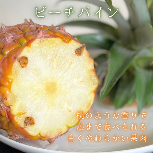 【送料無料】もぎたて産地直送!沖縄県西表島産パイナップル 桃の香りがする ピーチパイン