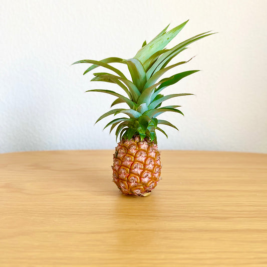 【送料無料】もぎたて産地直送!沖縄県西表島産パイナップル 桃の香りがする ピーチパイン