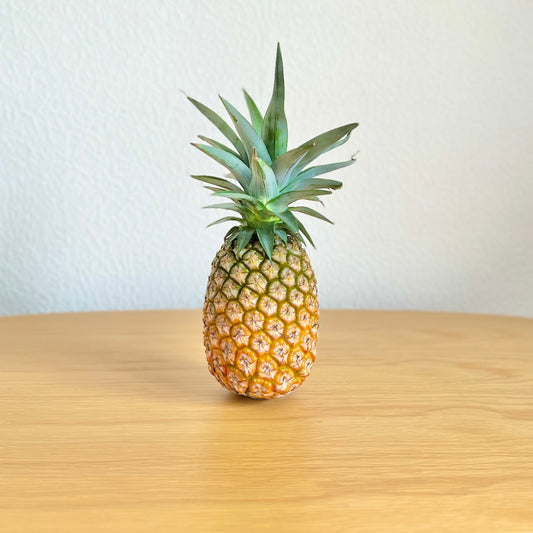 【送料無料】もぎたて産地直送!沖縄県西表島産パイナップル 白い果肉と強烈な甘み サンドルチェ